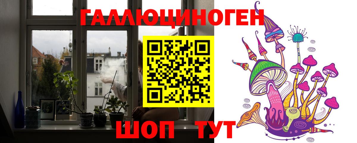 Псилоцибиновые грибы Psilocybine cubensis Кстово